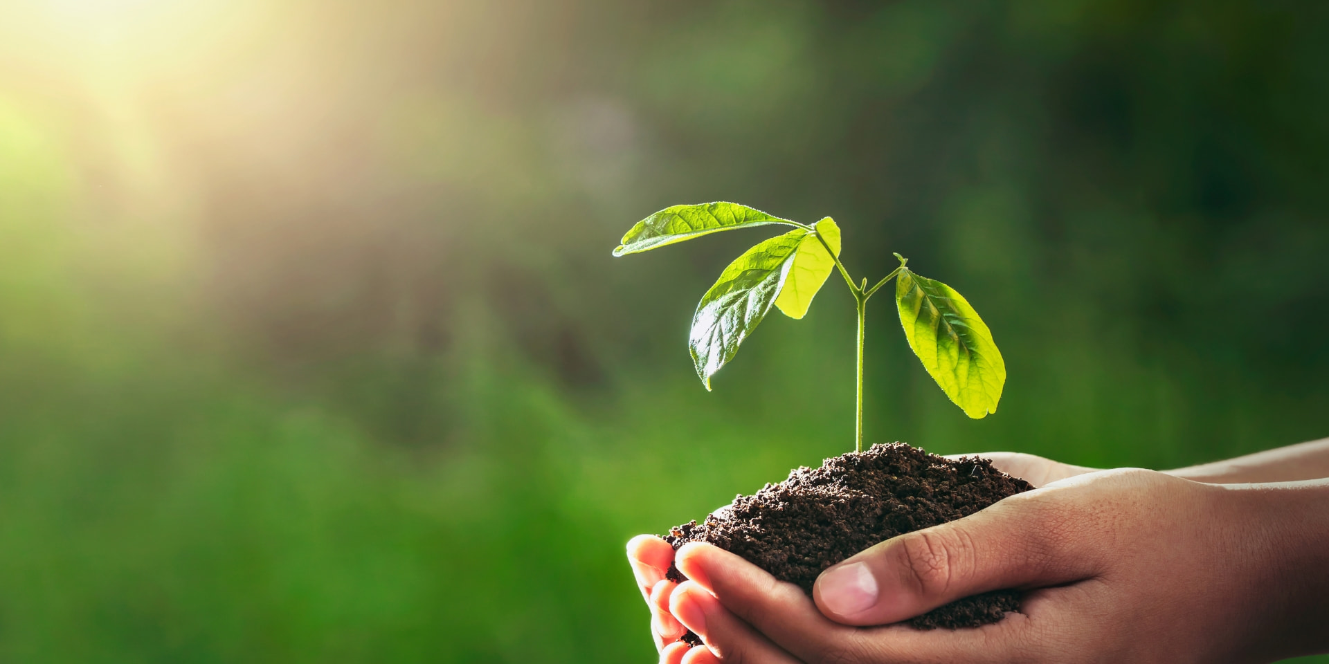 Donate to the college at Sydney Community College